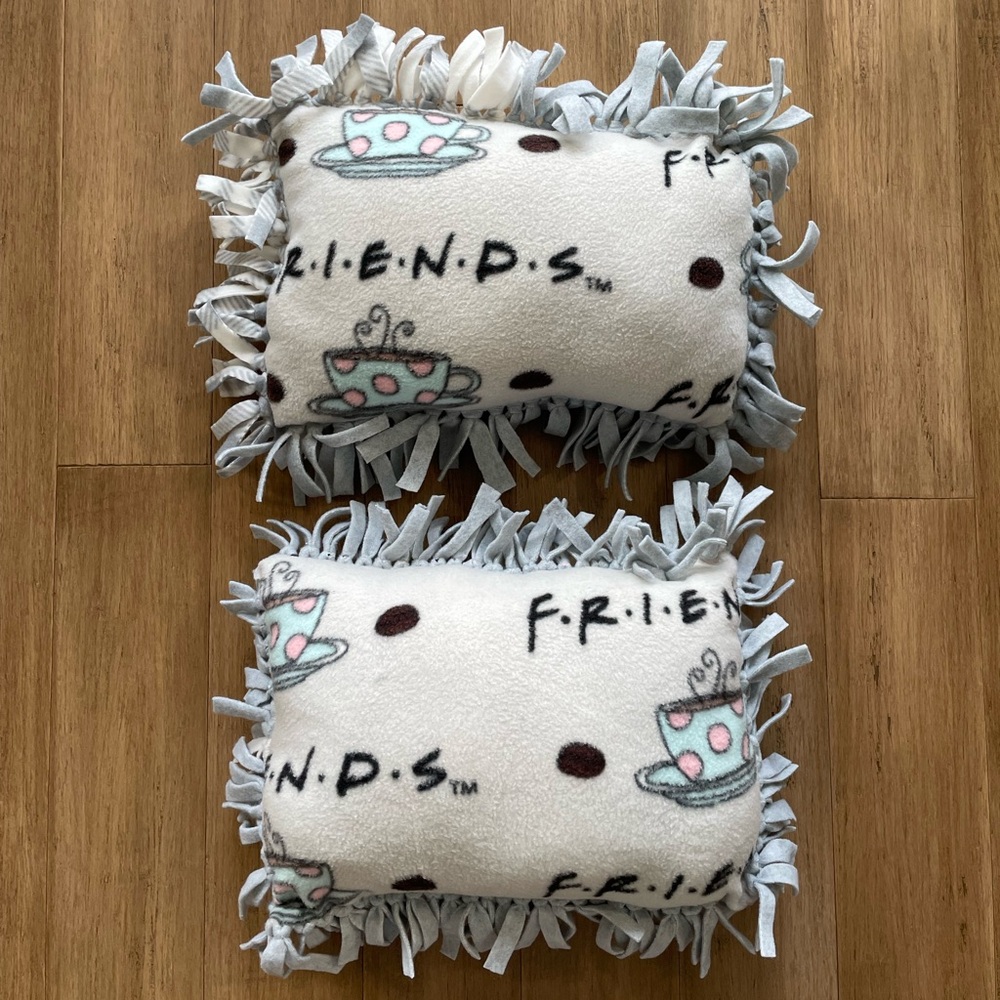 Friends show fleece pillows